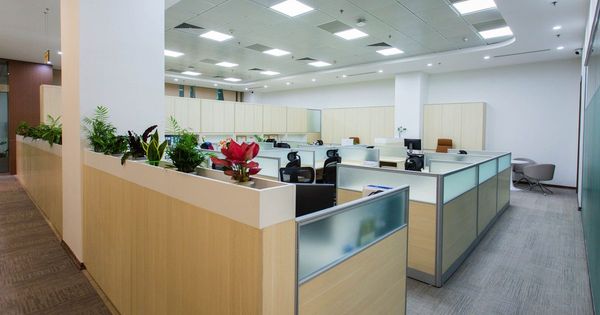 Oficina de planta abierta con cubículos vacíos y plantas en jardineras